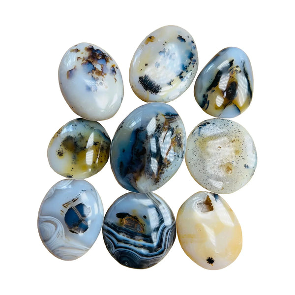 Dendritic Agate