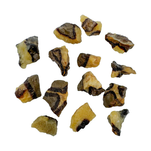 Septarian