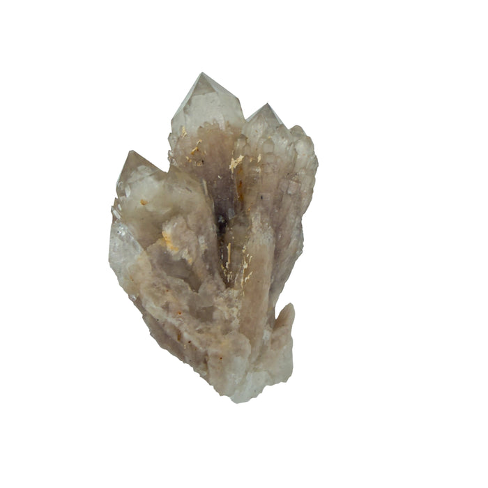 Top-down view of natural citrine no. 14, 3.22 inches across, terminations catching light along the top edge.