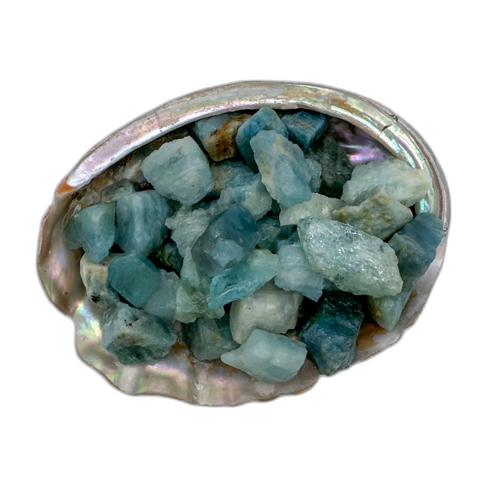 Aquamarine raw crystals 5-10 grams Minas Gerais Brazil bulk AA grade in abalone shell