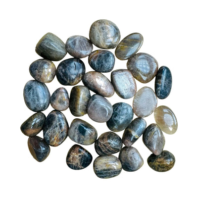 Black Moonstone Palm Stones for Grounding, Intuition & Manifestation — black smooth polished, AA grade from Madagascar
