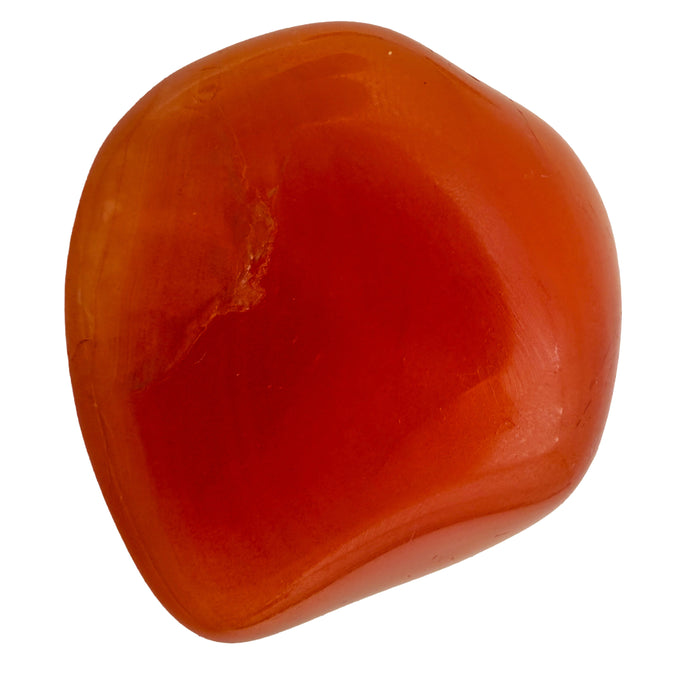 Carnelian Tumbled Stones, AA Grade, Botswana: one tumbled stone on a white background, deep orange red
