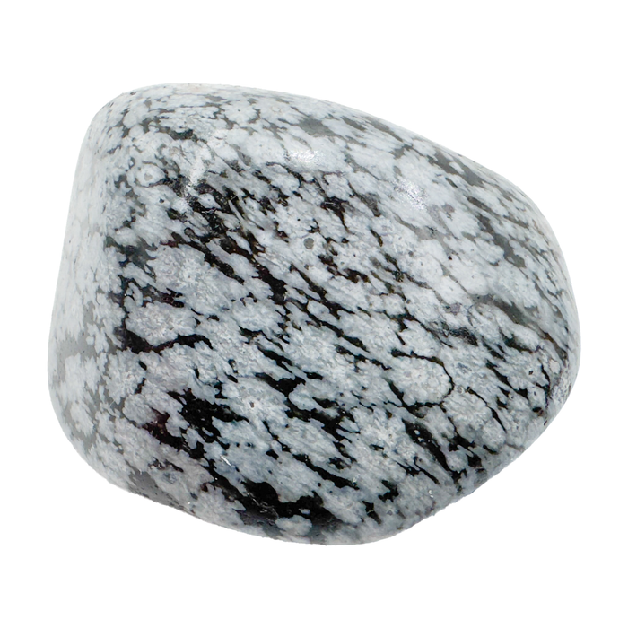 Snowflake Obsidian Tumbled Stones, AA Grade, Utah: one representative stone on a white background