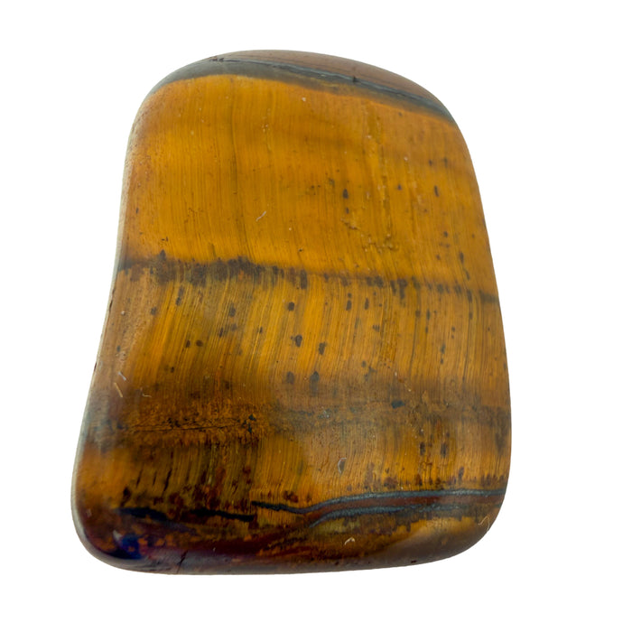 Tiger Eye Tumbled Stones, A Grade, South Africa: one tumbled stone on a white background, golden bands under a darker top edge