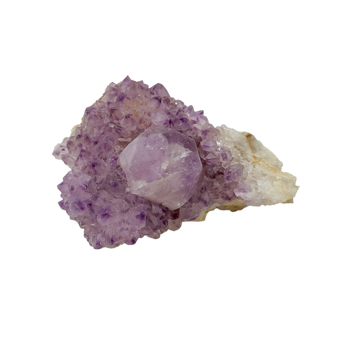 AA grade Cactus Spirit Quartz cluster from Mpumalanga, South Africa, with one clear amethyst point set into a dense violet druzy field on pale host rock.