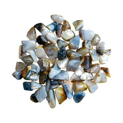 Tumbled Dendritic Agate Crystals for Emotional Healing, Grounding & Healing — black polished, A grade Madagascar-sourced