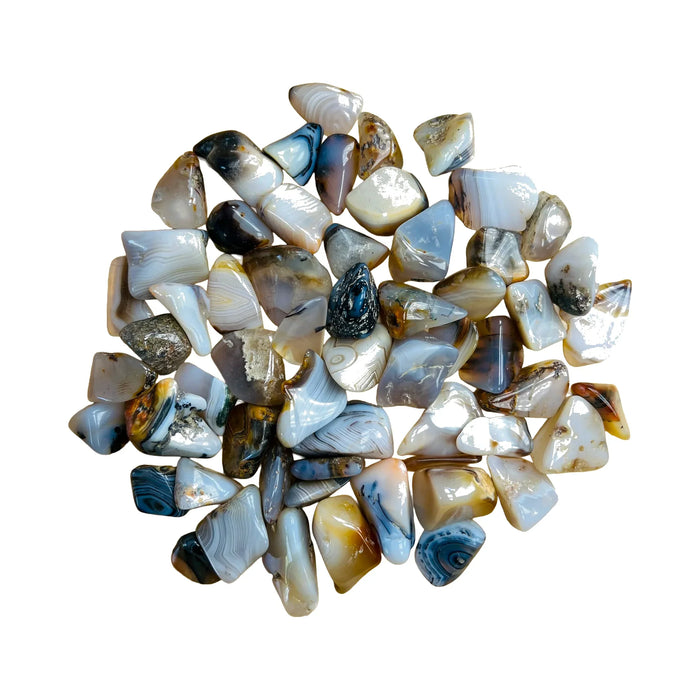 Tumbled Dendritic Agate Crystals for Emotional Healing, Grounding & Healing — black polished, A grade Madagascar-sourced