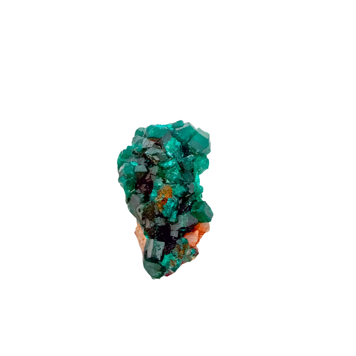 Emerald-green dioptase crystals crusting a 1.13 inch matrix, the compact sparkle from Renéville Congo