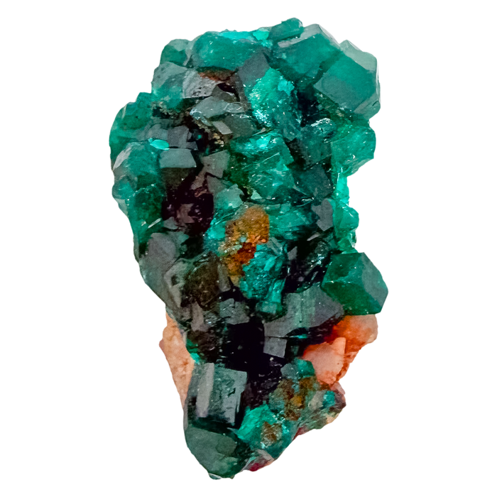 Emerald-green dioptase crystals crusting a 1.13 inch matrix, the compact sparkle from Renéville Congo