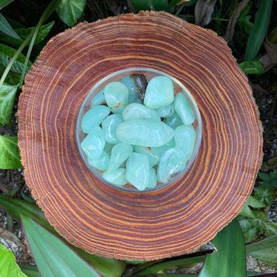 Prehnite tumbled stone in Green, Yellow tones, ethically sourced from Namibia for Emotional Healing and Manifestation