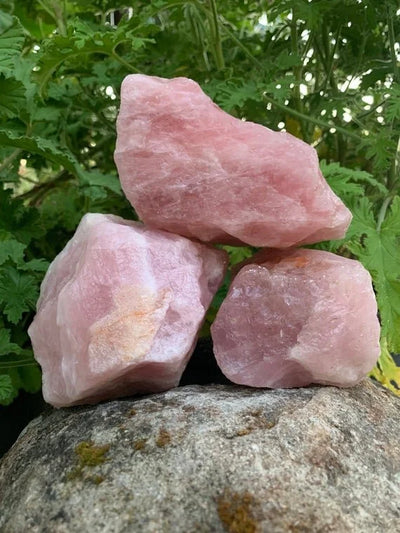 Ethically sourced Grade AA Rose Quartz raw from Alaotra-Mangoro, Madagascar at Beyond Bohemian