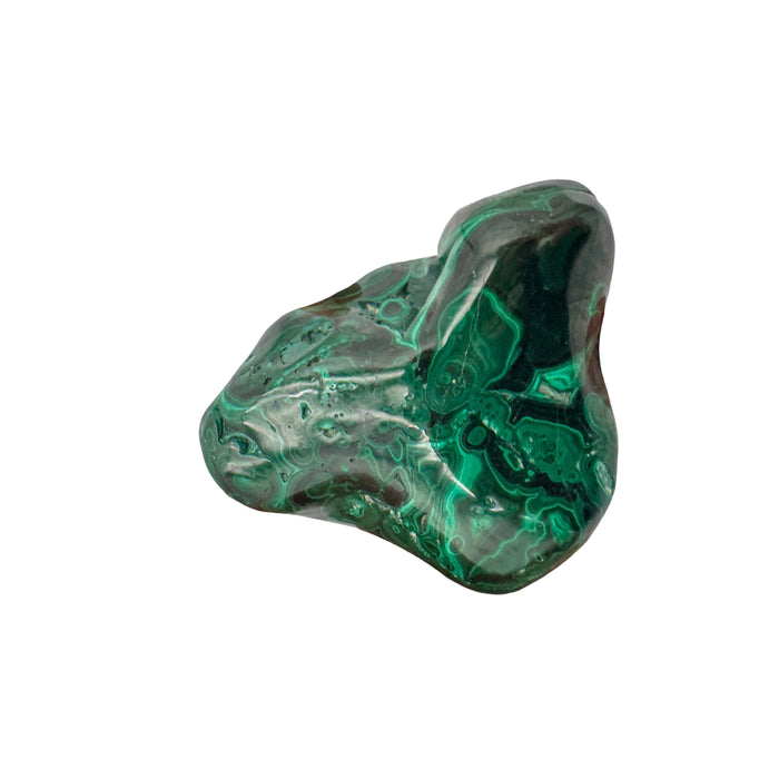 AA-grade malachite specimen from Haut-Katanga, Democratic Republic of the Congo, angled to show a raw, unpolished patch along one edge above the banded face.