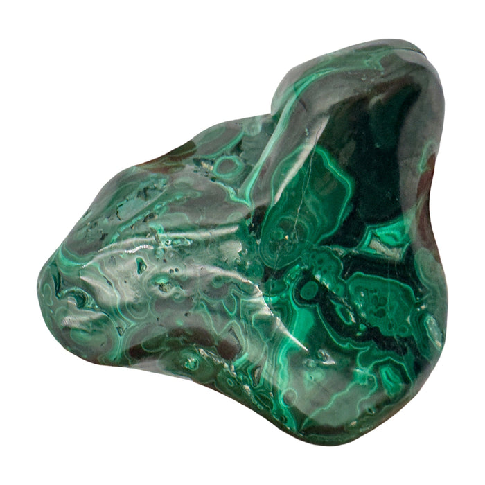 AA-grade malachite specimen from Haut-Katanga, Democratic Republic of the Congo, angled to show a raw, unpolished patch along one edge above the banded face.