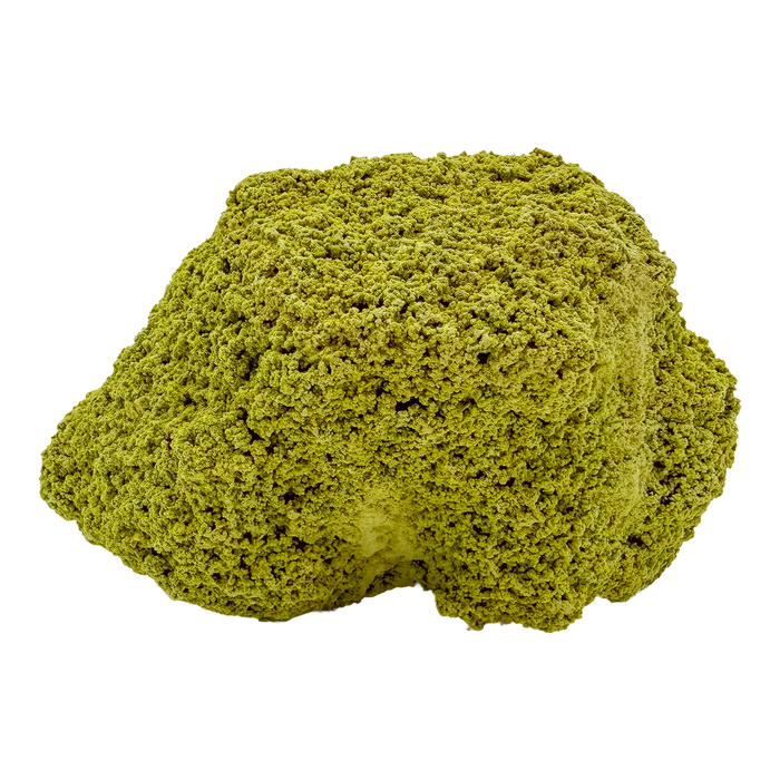 Primary display face of a 122 gram nontronite specimen, no. 12, its rounded olive-green growths covering weathered host rock.