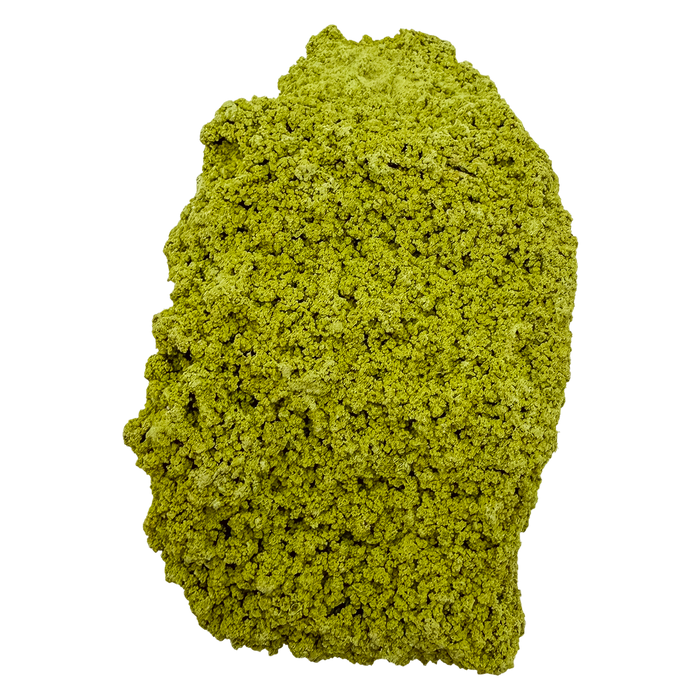Primary display face of a 121 gram nontronite specimen, no. 16, its rounded olive-green growths covering weathered host rock.