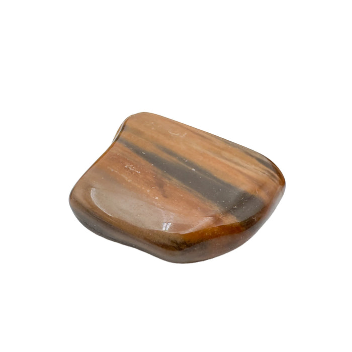 Large Petrified Wood tumbled stone with banded grain, AA grade Madagascar