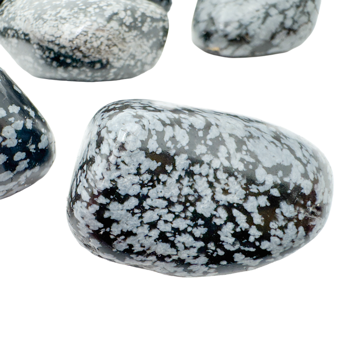 Large Snowflake Obsidian tumbled stone with bold snowflake patterning, AA grade Utah
