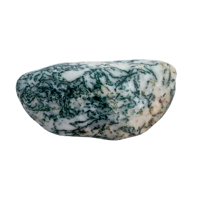 Tree Agate Tumbled Stones | A Grade | Botswana | 1–1.50 Inch