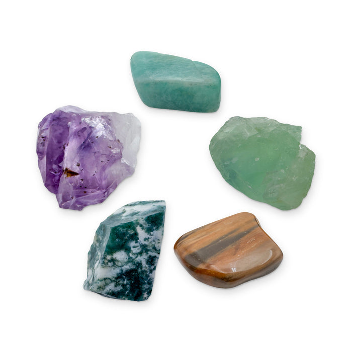 Virgo Crystal Kit: amazonite, fluorite, petrified wood, tree agate and amethyst point, shown together on white