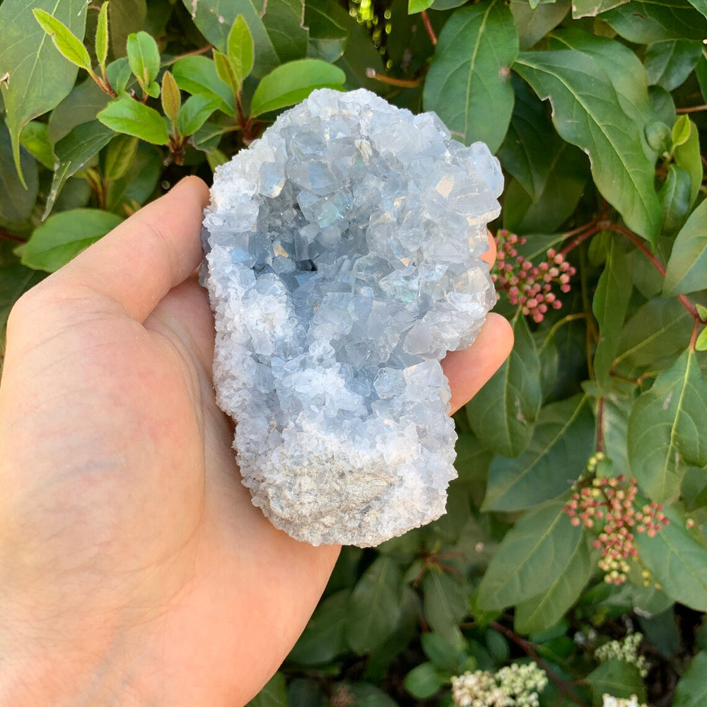Pale blue celestite geode cluster from Madagascar — a genuinely rare mineral, not just marketed that way