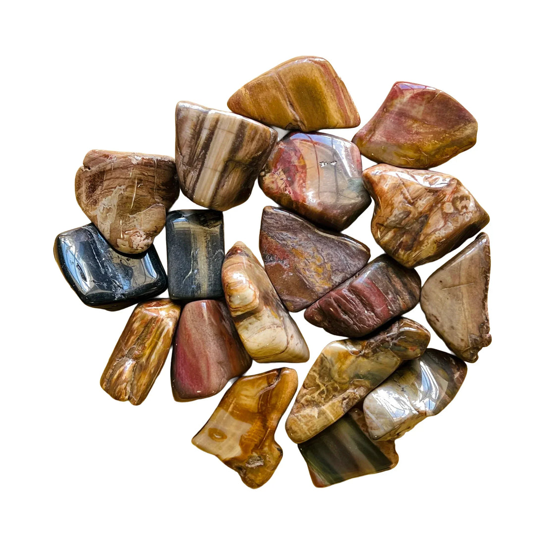 Tumbled petrified wood stones from Boeny, Madagascar, showing preserved grain and growth rings