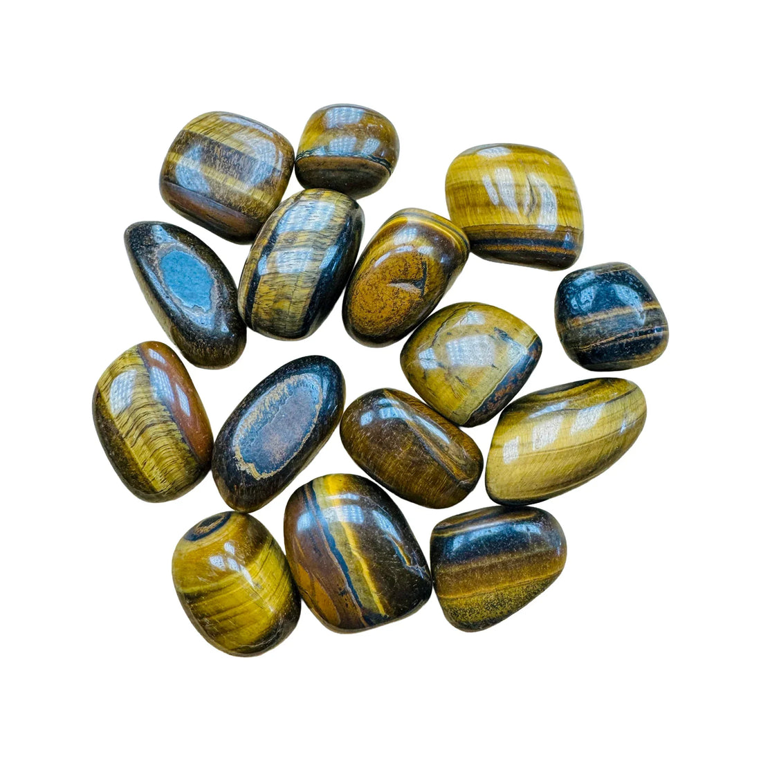 Hand polished tiger eye stones from Northern Cape, South Africa, showing the chatoyant band
