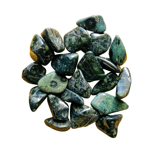 Kambaba Jasper