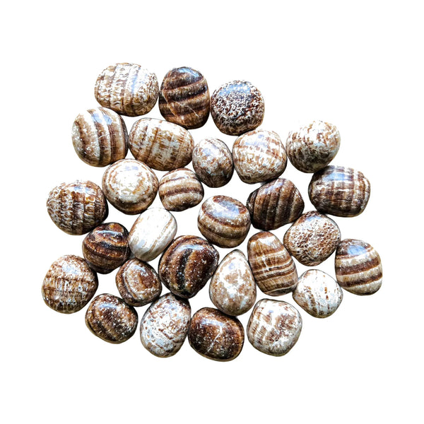 Aragonite