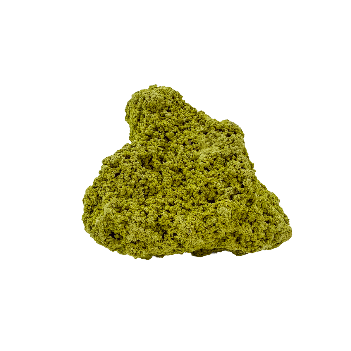 The top-down view of collector nontronite no. 27, 124 grams, showing how the bubbled crust wraps the host rock.