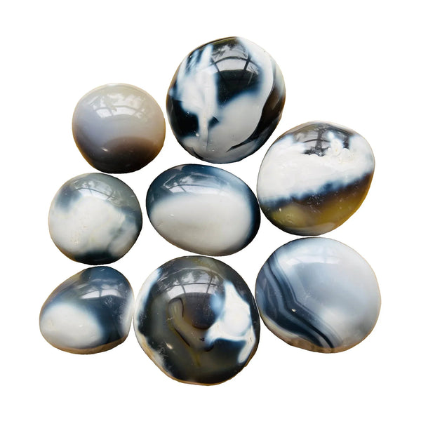 Orca Agate