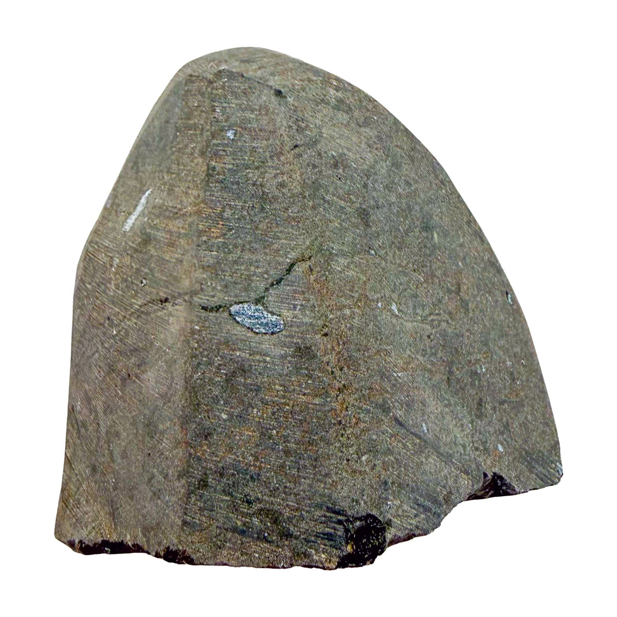 Top-down view of AA amethyst geode no. 128, 3.67 inches across the polished face, natural and untreated.