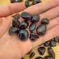 Scale reference of a Apache Tear tumbled stone kept close for Grounding and Protection.