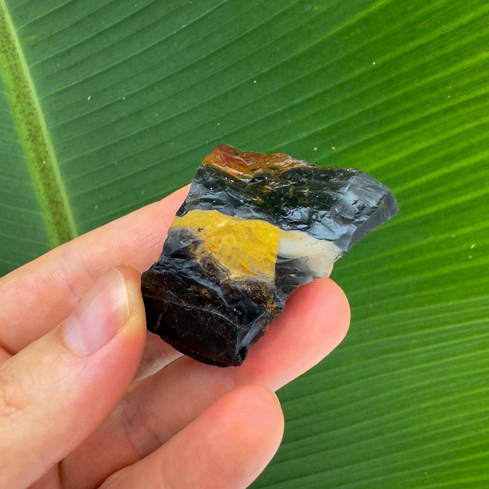 Black Onyx raw stone in Black tones from Brazil for Protection and Focus