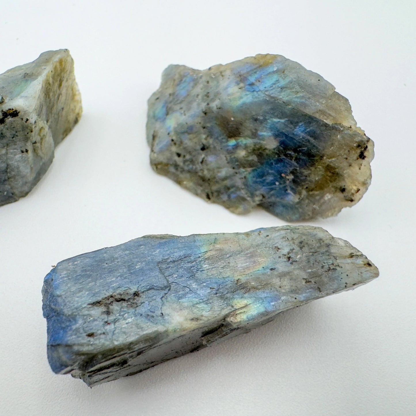 Scale reference of a Labradorite raw stone held against natural backdrop.