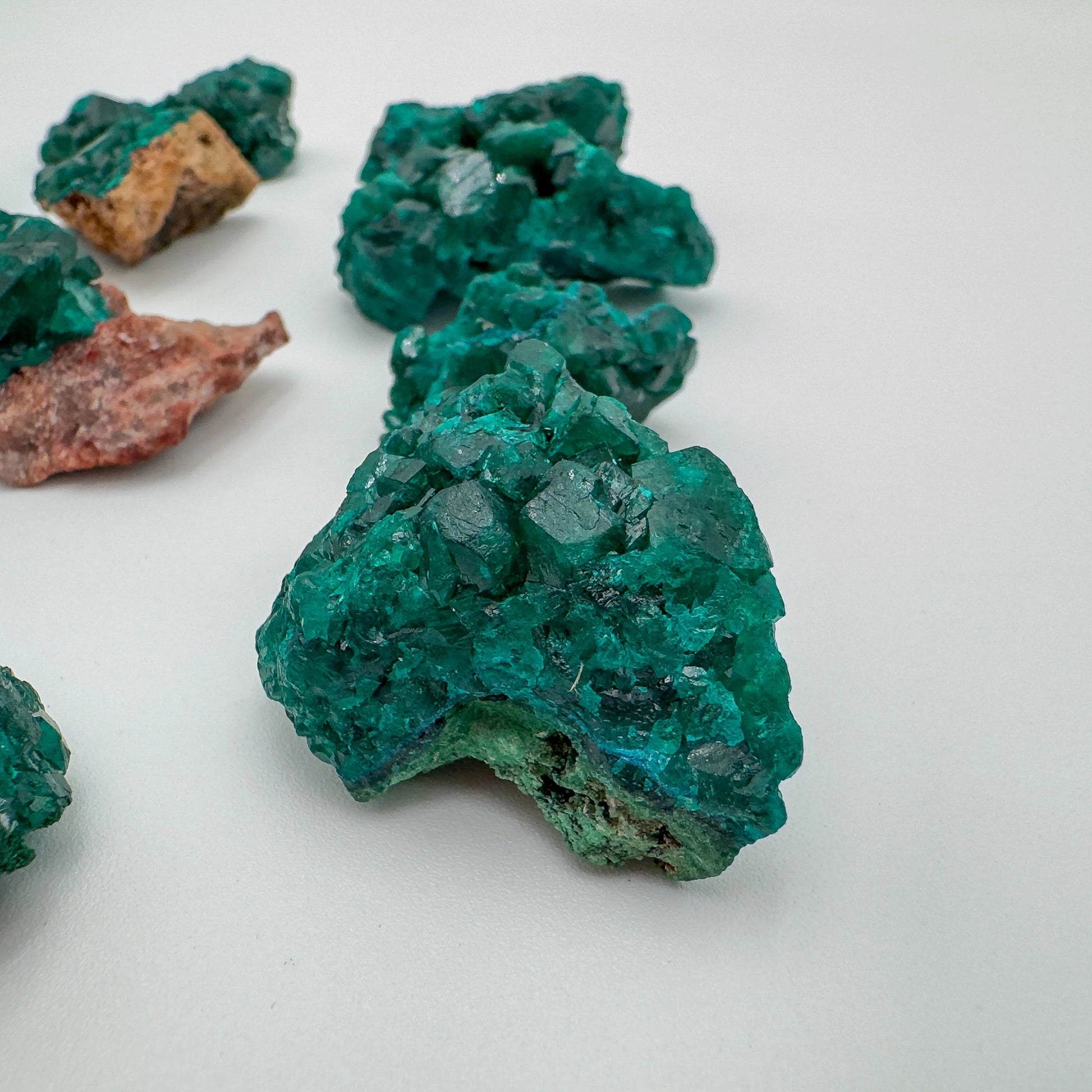 Profile shot of Dioptase raw stone, showing natural variation, sourced from Renéville, Republic of the Congo.