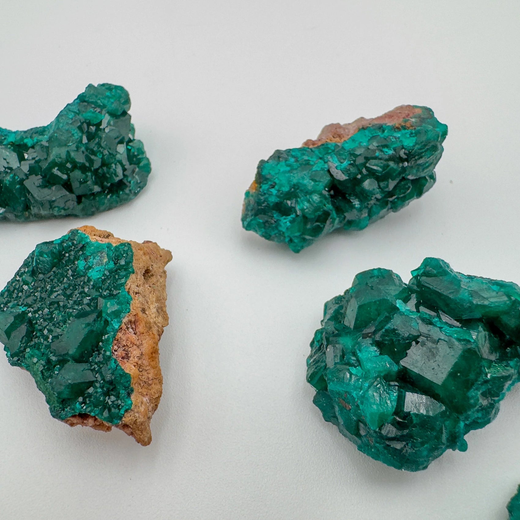 Palm-scale view of one Dioptase raw stone for scale, from Republic of the Congo.