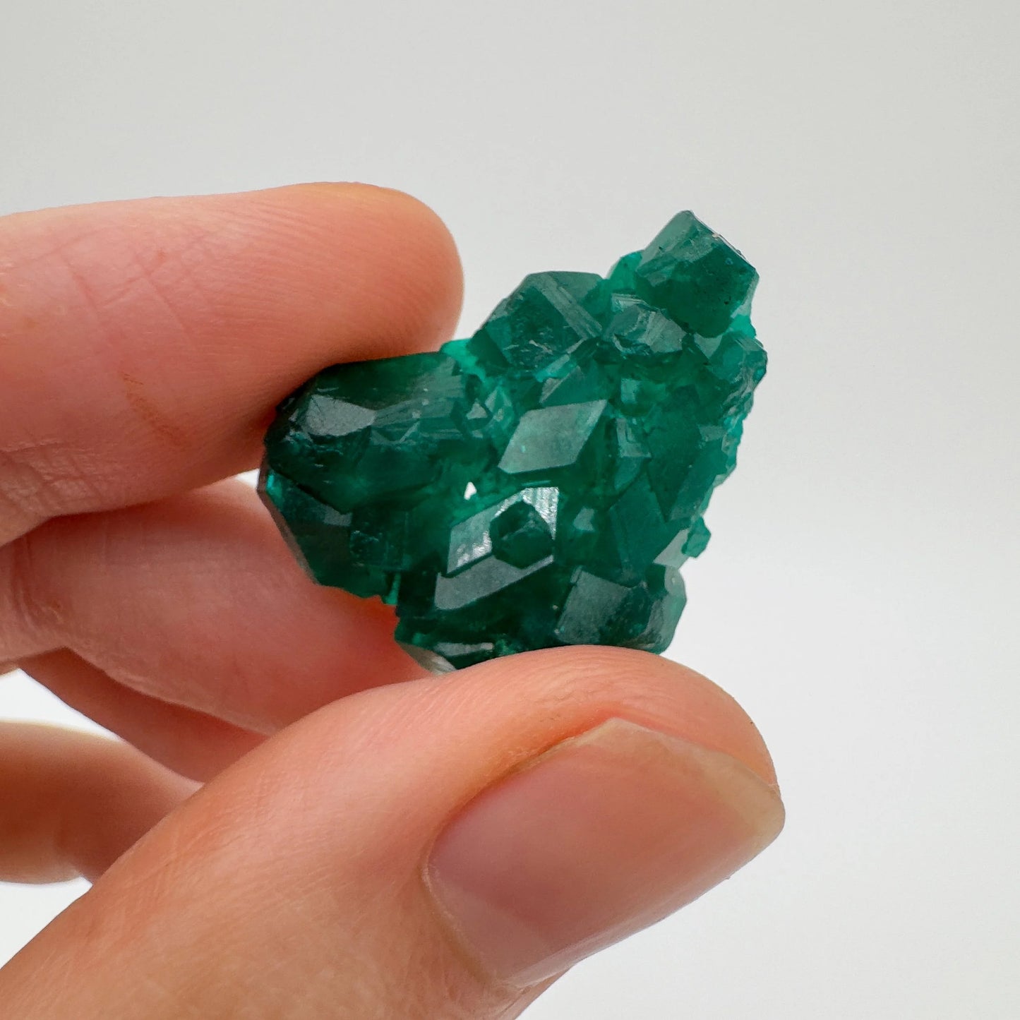 Resting display of Dioptase raw crystal, with weight visible in the palm.