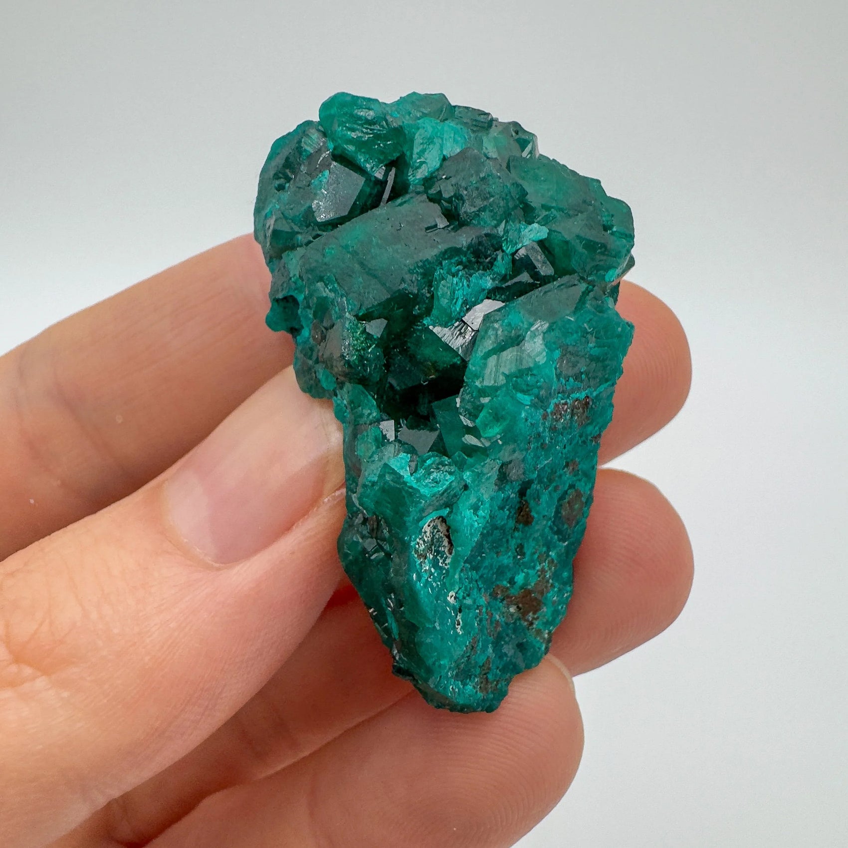Detail shot of Grade AA Dioptase raw under natural light