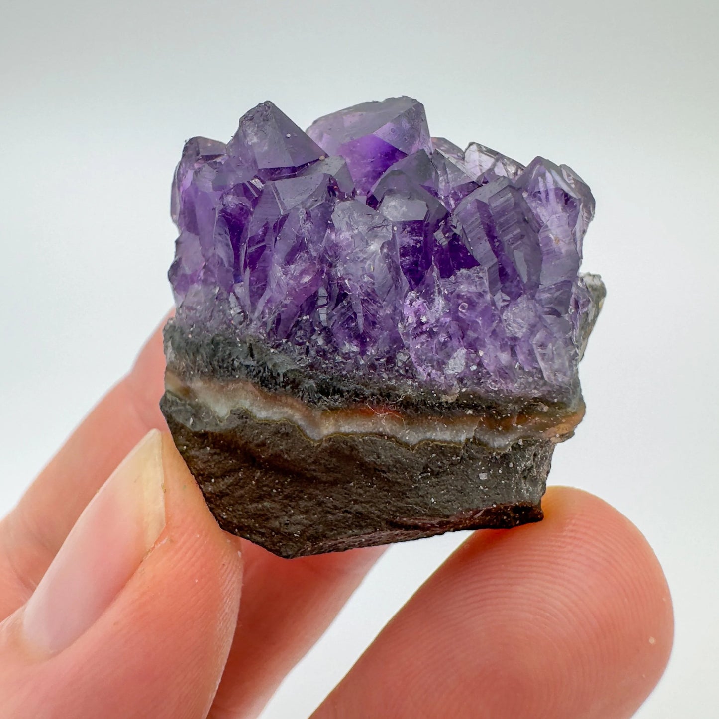 Detail shot of Grade AA Amethyst cluster under natural light