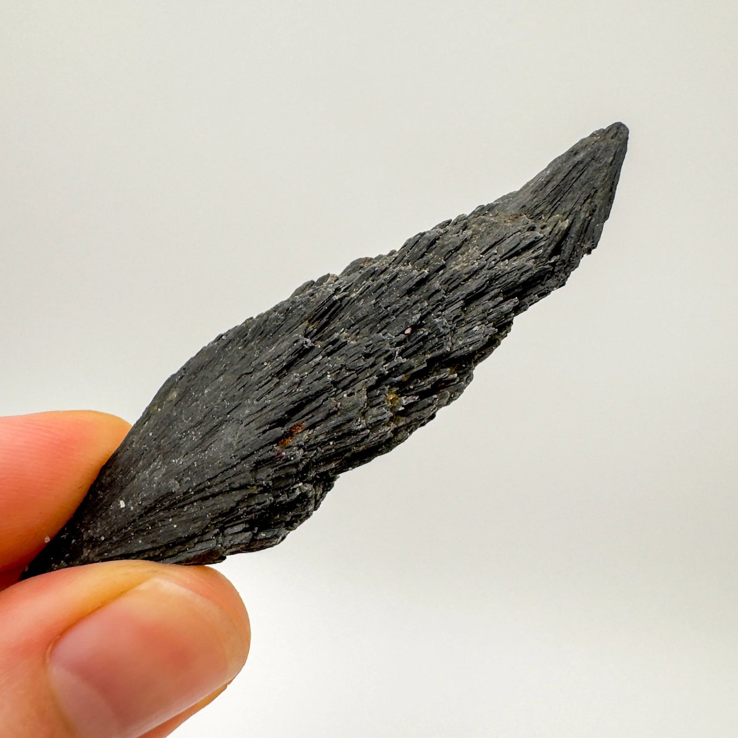Back view of Grade A Black Kyanite raw showing natural surface