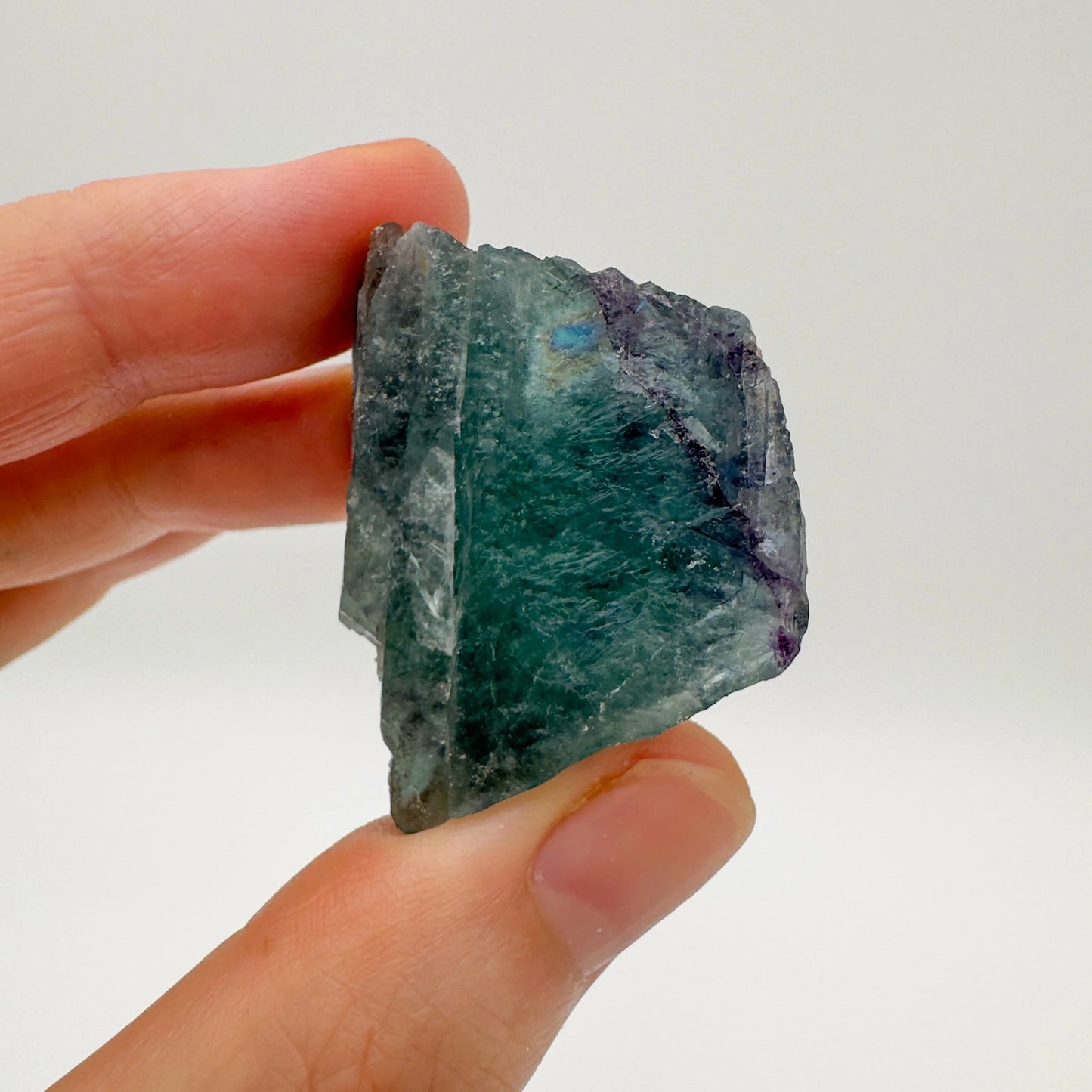 Lifestyle view of a Fluorite raw stone held against natural backdrop, sourced from Erongo, Namibia.
