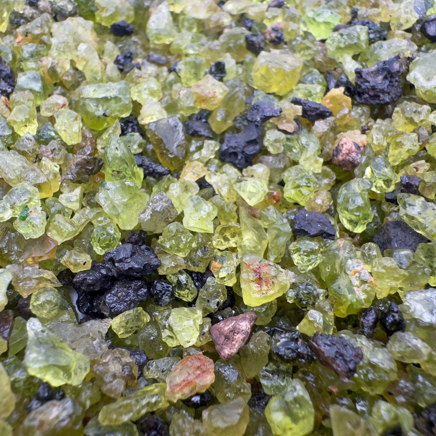 Grade aa peridot raw held in hand for size reference