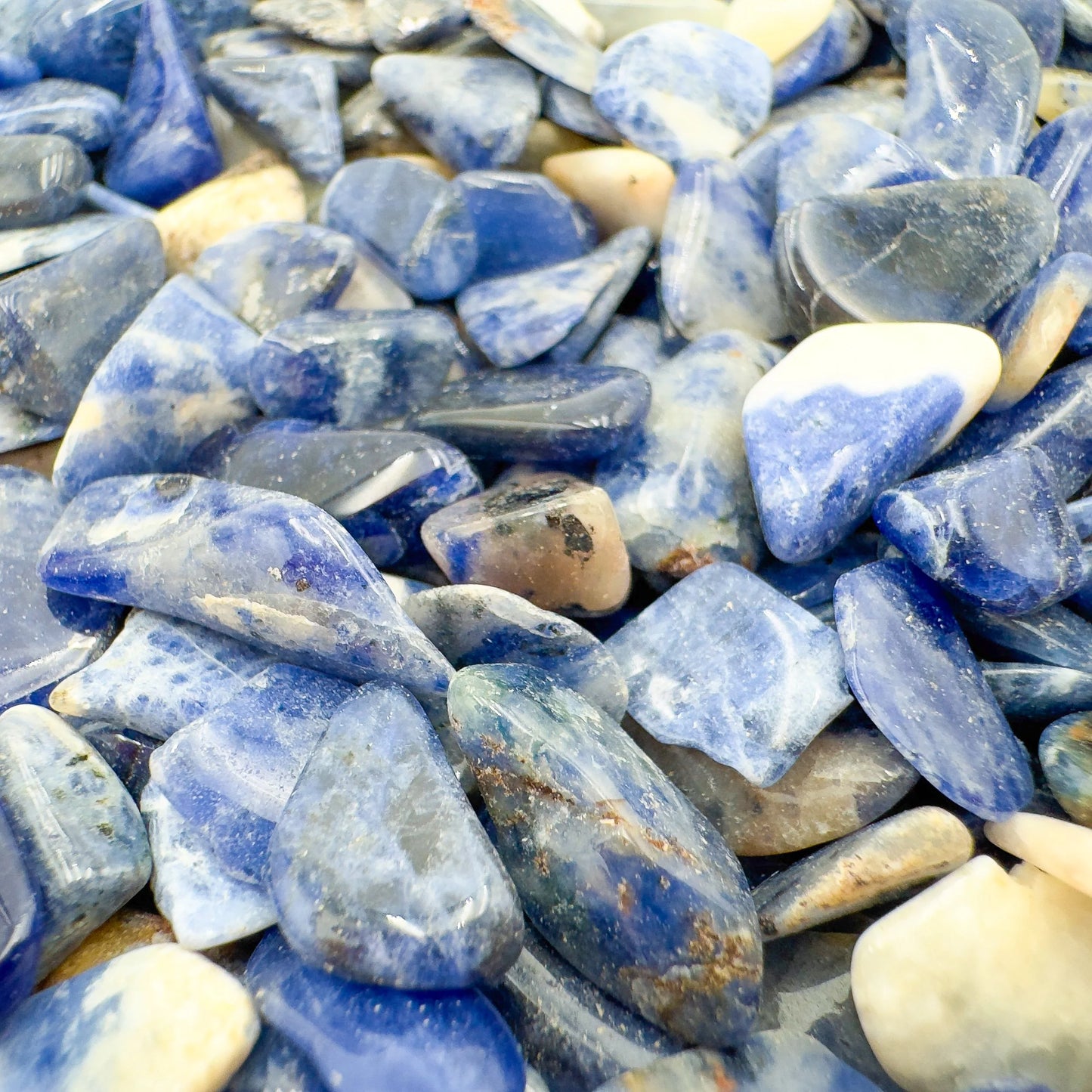 Detail of Sodalite polished chip, from Namibia, carried for Focus.
