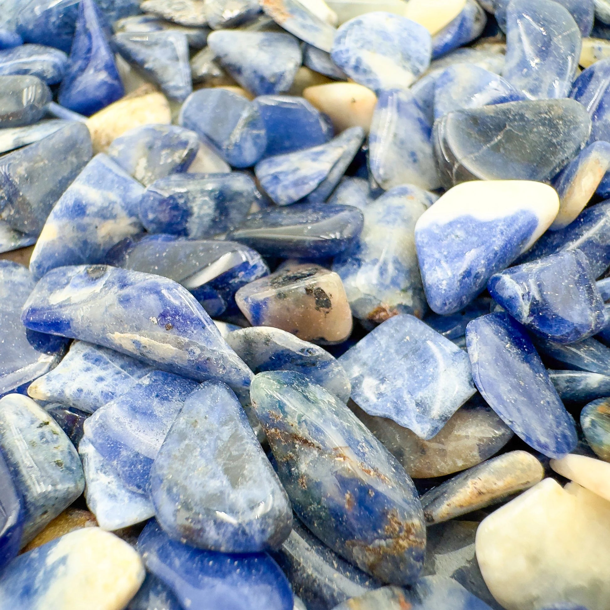 Detail of Sodalite polished chip, from Namibia, carried for Focus.