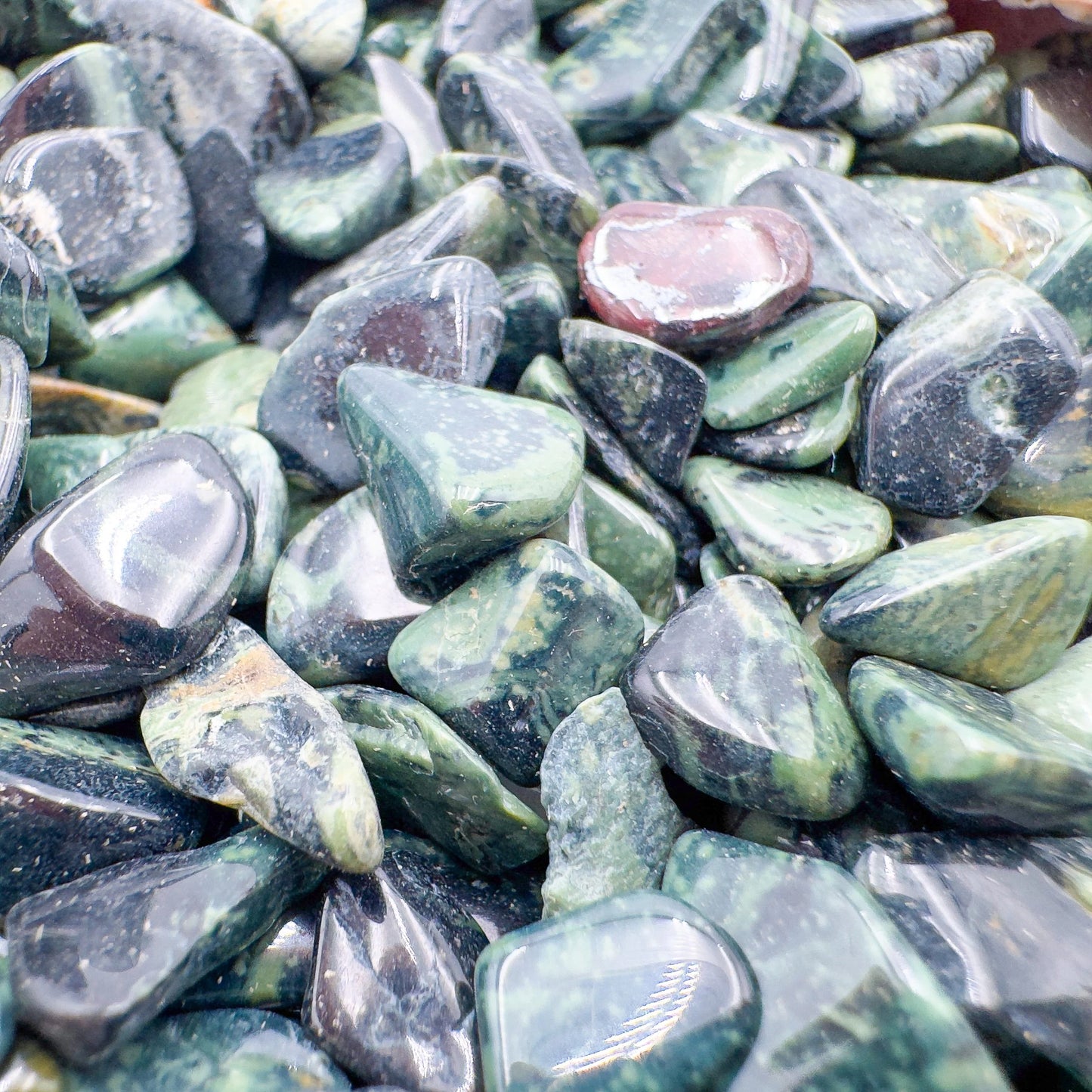 Side profile of Kambaba Jasper polished chip, showing subtle veining, kept close for Grounding and Stress Relief.