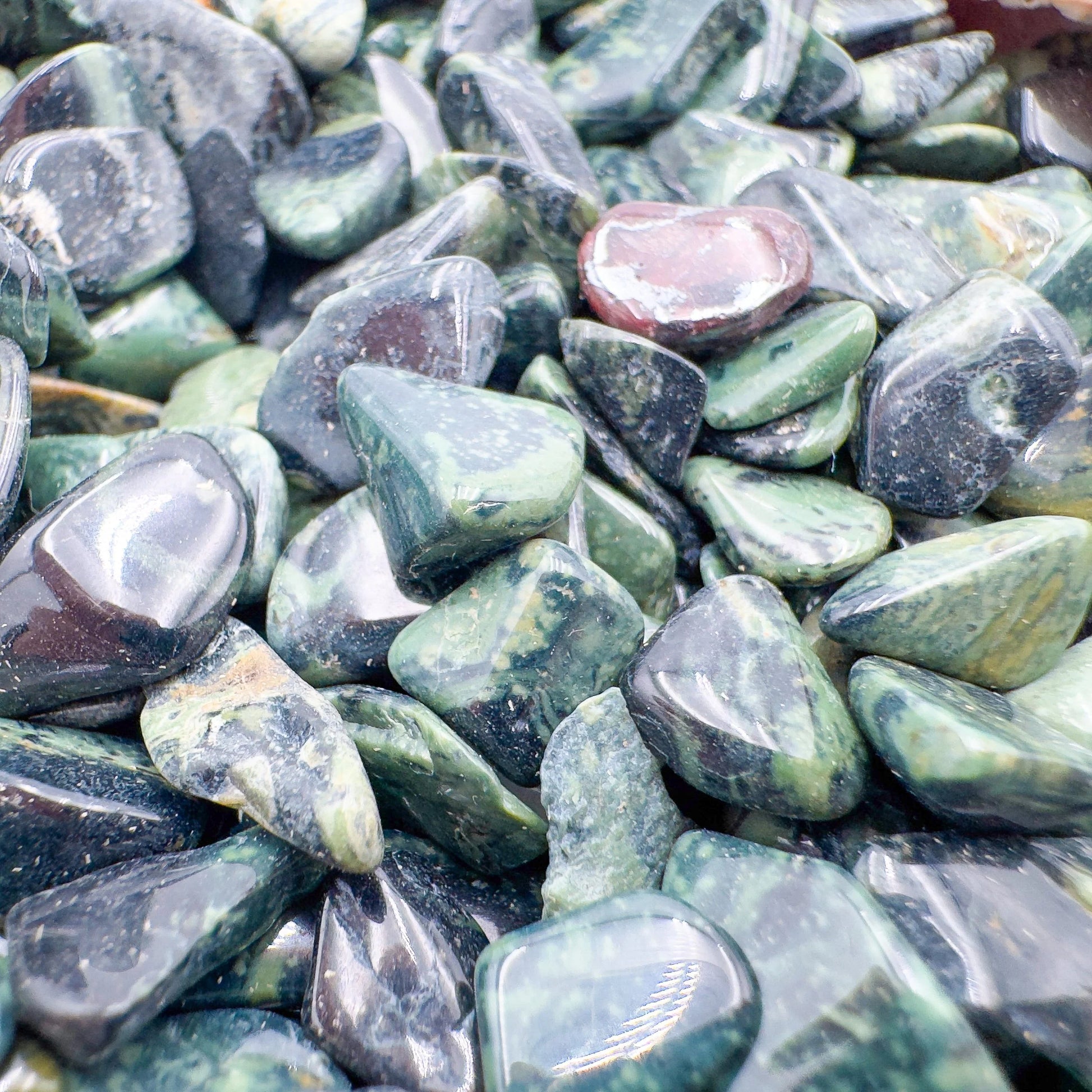 Side profile of Kambaba Jasper polished chip, showing subtle veining, kept close for Grounding and Stress Relief.
