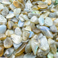 Magnified detail of Labradorite polished chip, linked to Intuition.