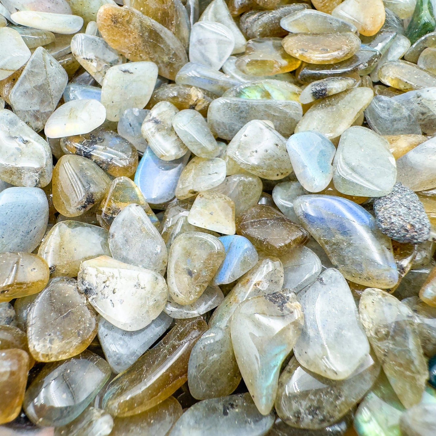 Magnified detail of Labradorite polished chip, linked to Intuition.