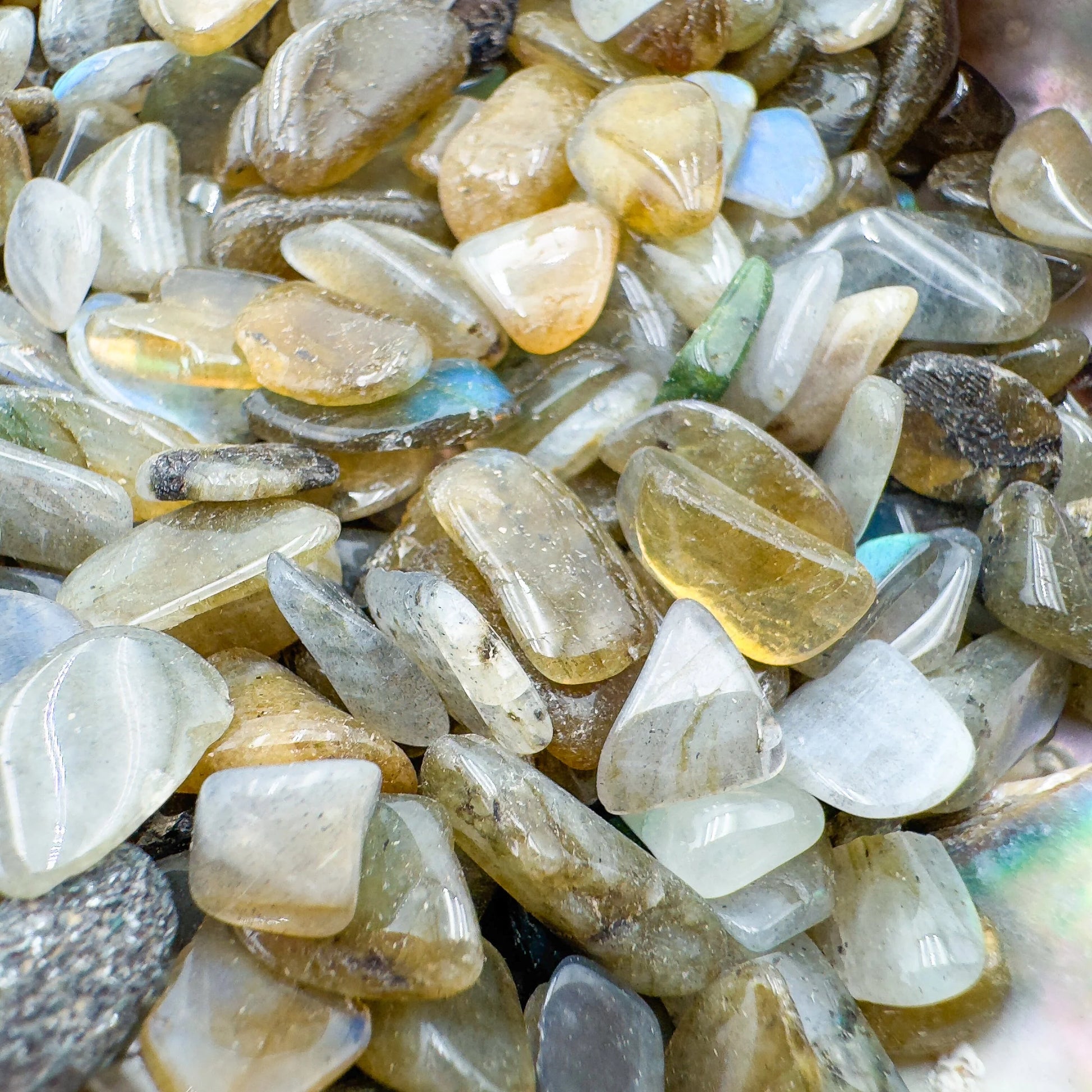 Profile shot of gray Labradorite polished chip, kept close for Intuition, showing earthy tone.