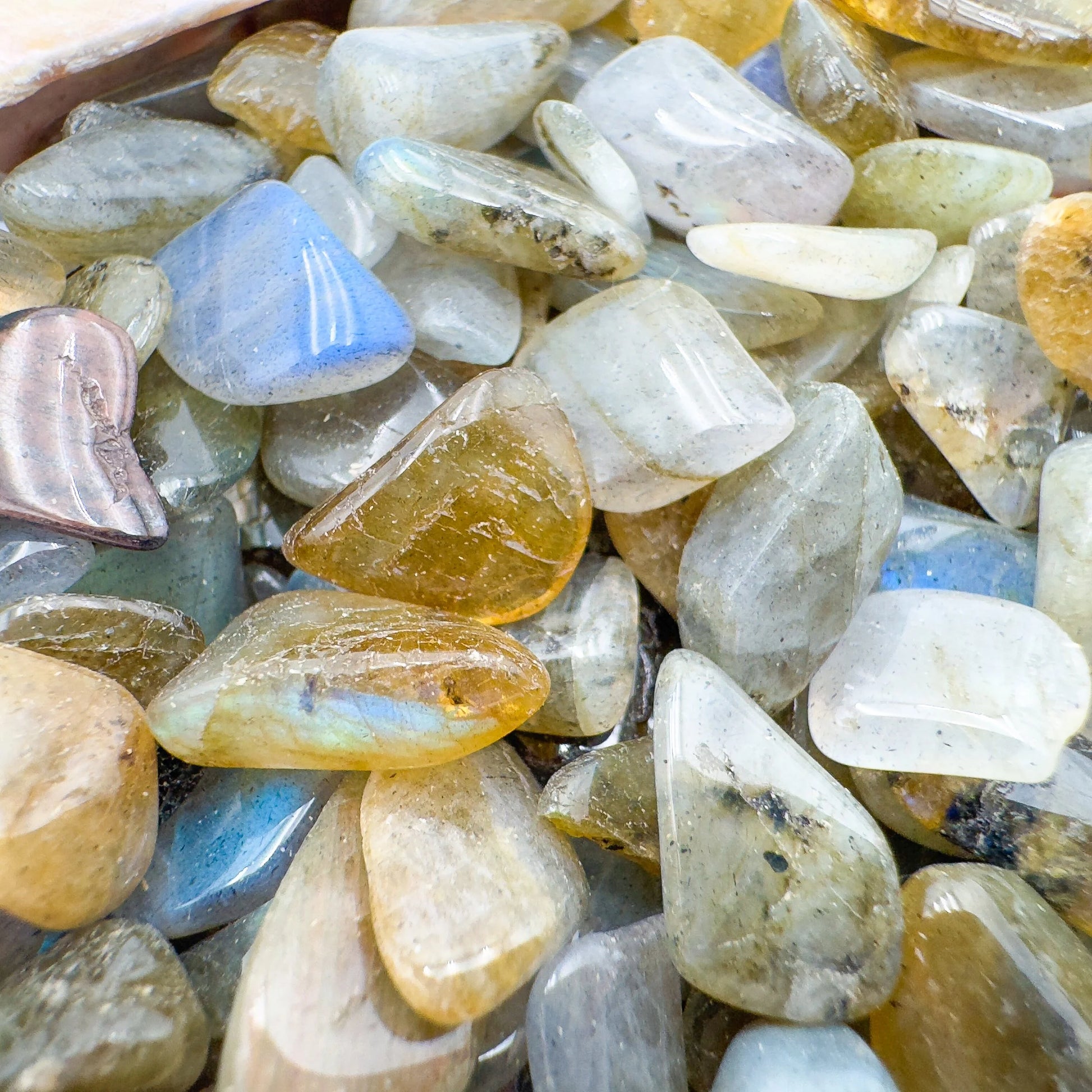 Overhead angle of gray Labradorite polished chip, often paired with practices around Intuition and Protection.